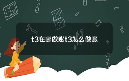 t3在哪做账t3怎么做账