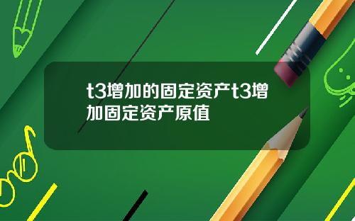 t3增加的固定资产t3增加固定资产原值