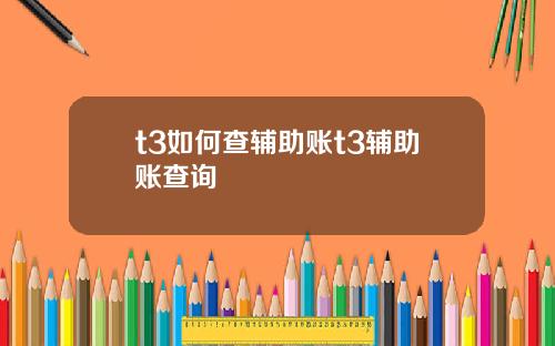 t3如何查辅助账t3辅助账查询