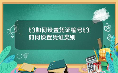 t3如何设置凭证编号t3如何设置凭证类别