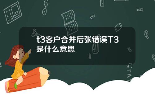 t3客户合并后张错误T3是什么意思