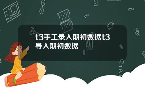 t3手工录入期初数据t3导入期初数据