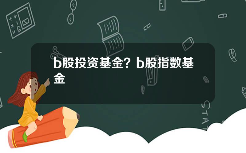 b股投资基金？b股指数基金