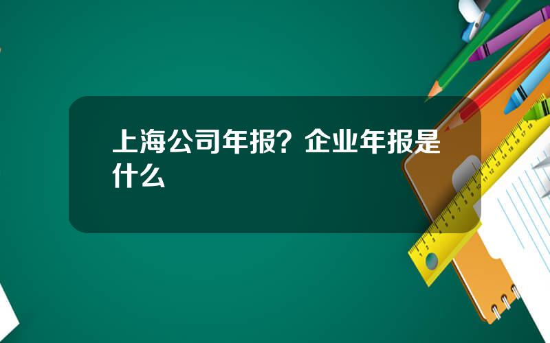 上海公司年报？企业年报是什么