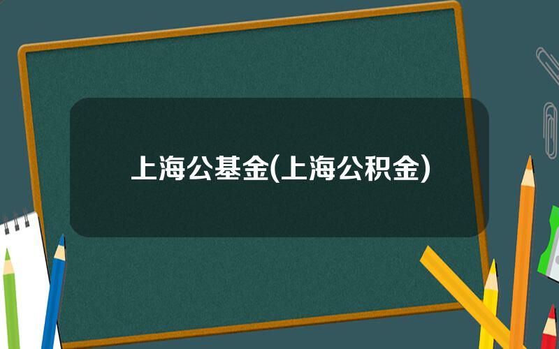 上海公基金(上海公积金)