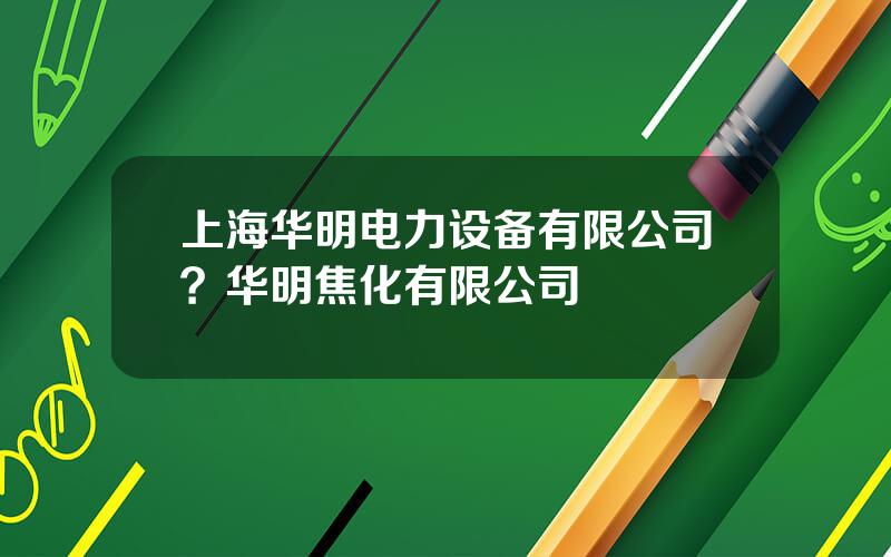 上海华明电力设备有限公司？华明焦化有限公司