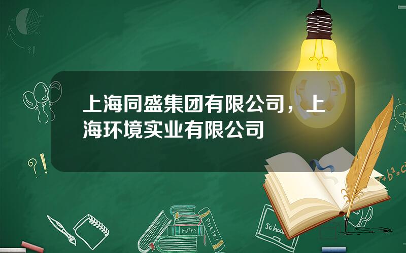 上海同盛集团有限公司，上海环境实业有限公司