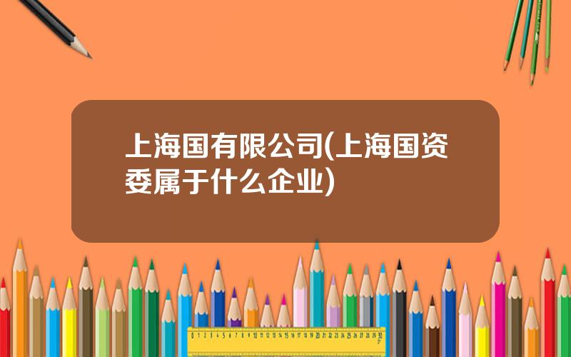 上海国有限公司(上海国资委属于什么企业)