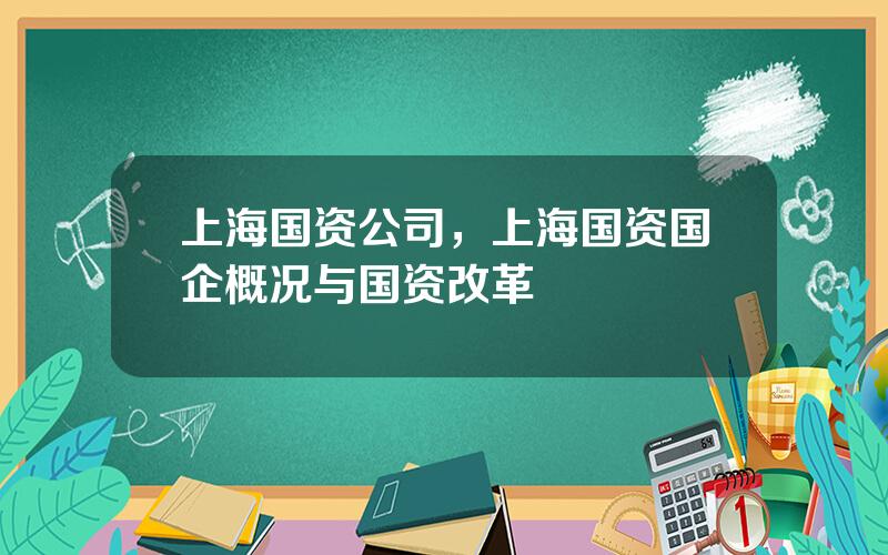 上海国资公司，上海国资国企概况与国资改革