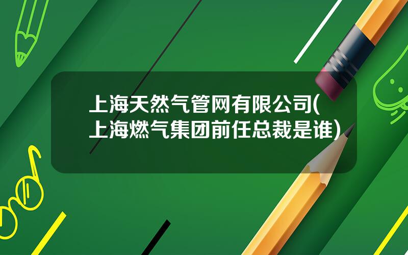 上海天然气管网有限公司(上海燃气集团前任总裁是谁)