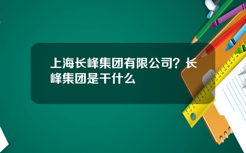 上海长峰集团有限公司？长峰集团是干什么