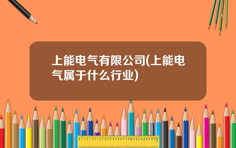 上能电气有限公司(上能电气属于什么行业)