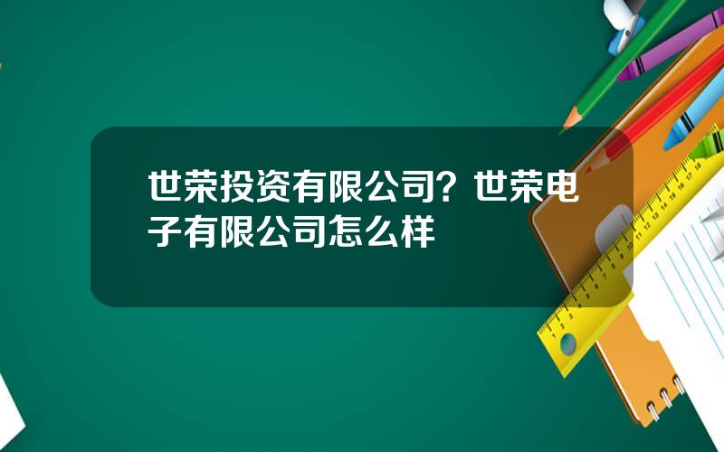 世荣投资有限公司？世荣电子有限公司怎么样