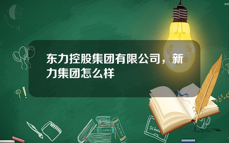 东力控股集团有限公司，新力集团怎么样