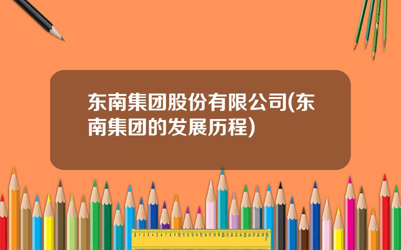 东南集团股份有限公司(东南集团的发展历程)