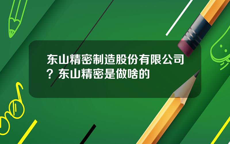 东山精密制造股份有限公司？东山精密是做啥的