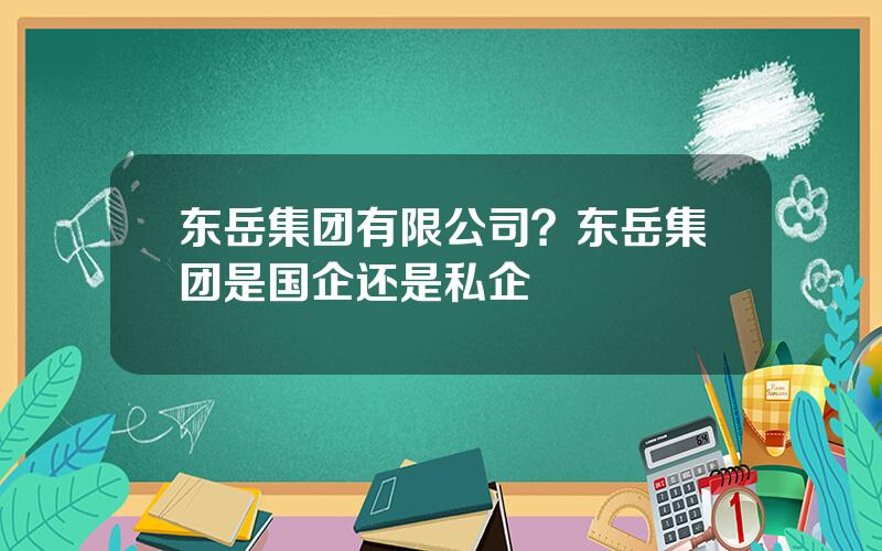 东岳集团有限公司？东岳集团是国企还是私企