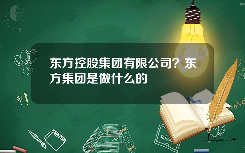 东方控股集团有限公司？东方集团是做什么的