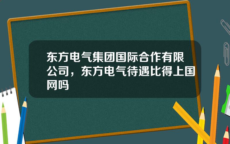 东方电气集团国际合作有限公司，东方电气待遇比得上国网吗