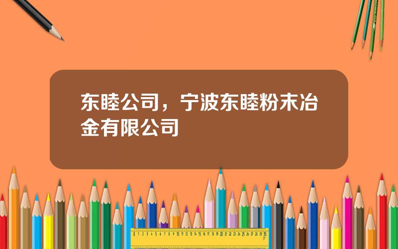 东睦公司，宁波东睦粉末冶金有限公司