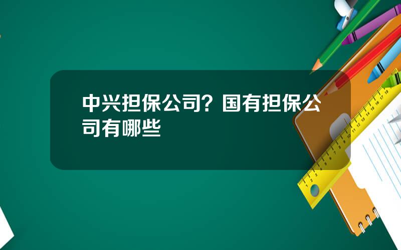 中兴担保公司？国有担保公司有哪些