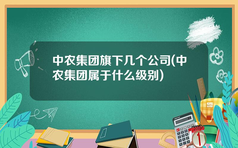 中农集团旗下几个公司(中农集团属于什么级别)