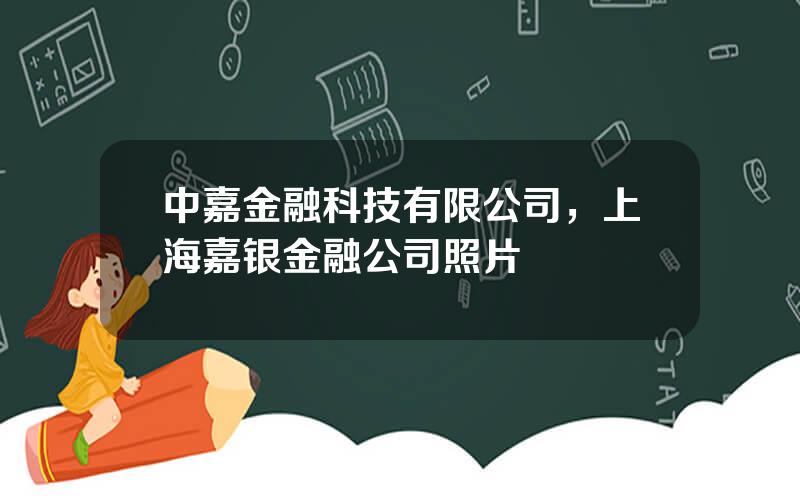 中嘉金融科技有限公司，上海嘉银金融公司照片