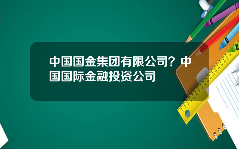 中国国金集团有限公司？中国国际金融投资公司