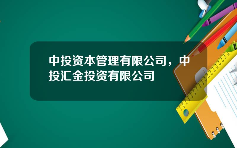 中投资本管理有限公司，中投汇金投资有限公司