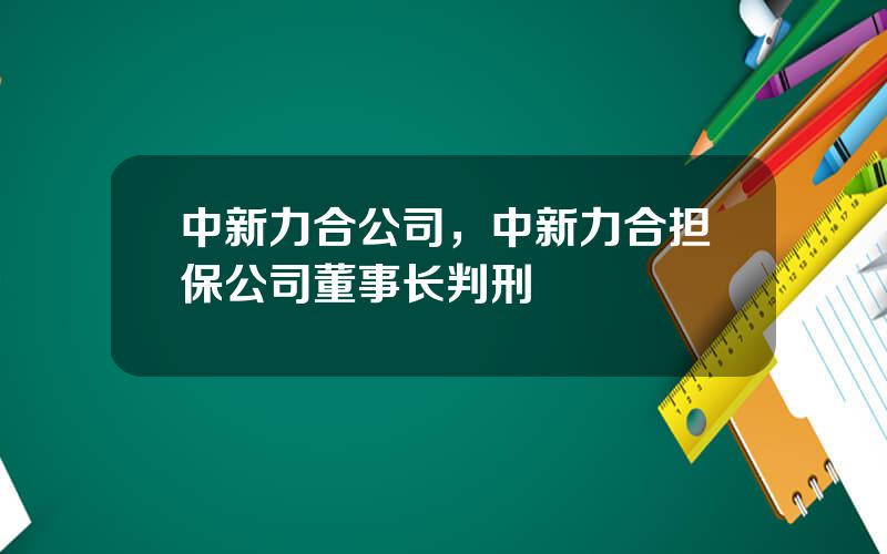 中新力合公司，中新力合担保公司董事长判刑