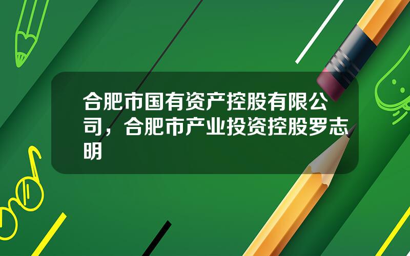 合肥市国有资产控股有限公司，合肥市产业投资控股罗志明