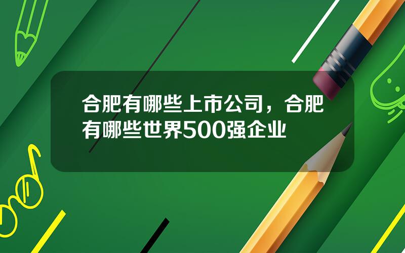 合肥有哪些上市公司，合肥有哪些世界500强企业