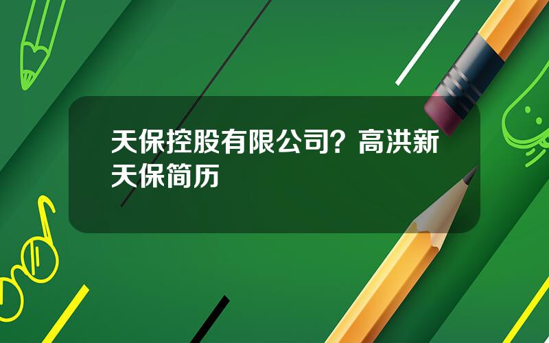 天保控股有限公司？高洪新天保简历