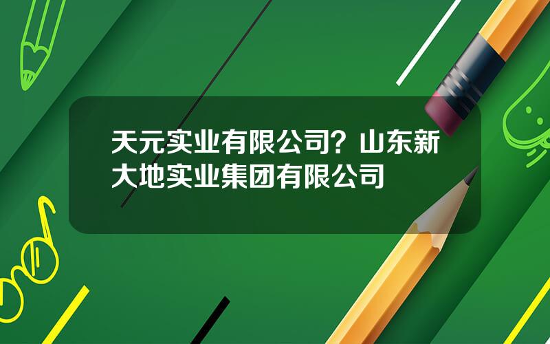 天元实业有限公司？山东新大地实业集团有限公司