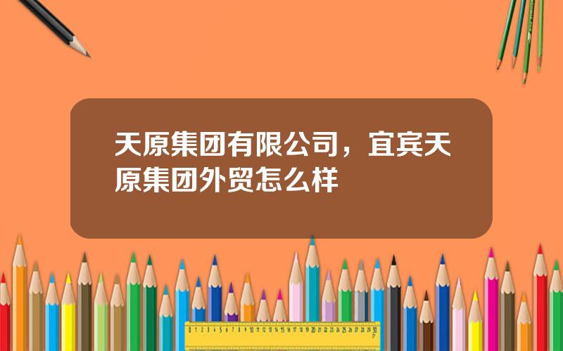 天原集团有限公司，宜宾天原集团外贸怎么样