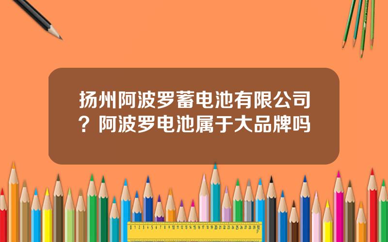 扬州阿波罗蓄电池有限公司？阿波罗电池属于大品牌吗