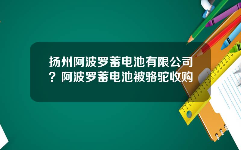 扬州阿波罗蓄电池有限公司？阿波罗蓄电池被骆驼收购