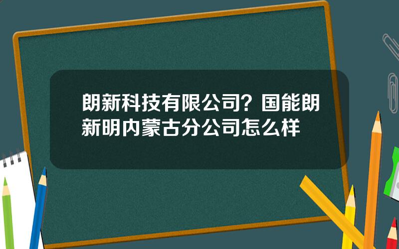 朗新科技有限公司？国能朗新明内蒙古分公司怎么样