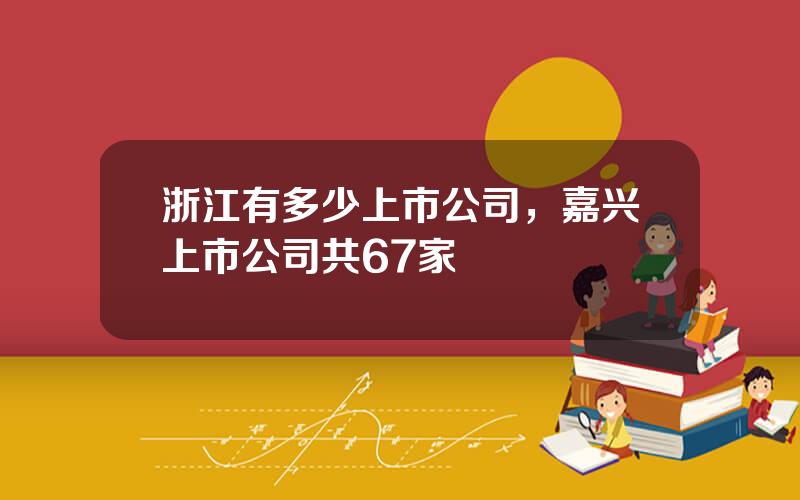 浙江有多少上市公司，嘉兴上市公司共67家