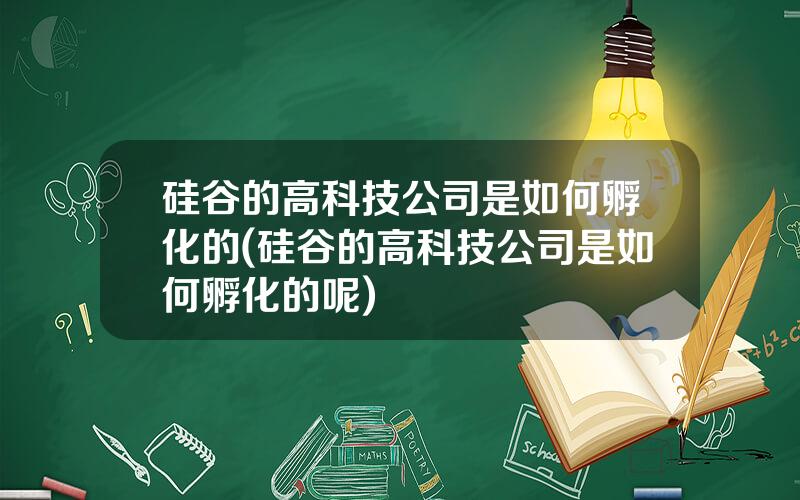 硅谷的高科技公司是如何孵化的(硅谷的高科技公司是如何孵化的呢)