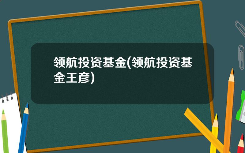 领航投资基金(领航投资基金王彦)